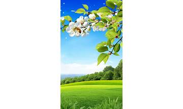 Seasons Spring Live Wallpaper for Android - Download the APK from Habererciyes